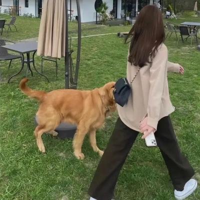 排队上天堂